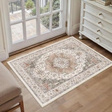 Area Rug 2x3 Entryway Rug Soft Washable Low Pile Vintage Doormat