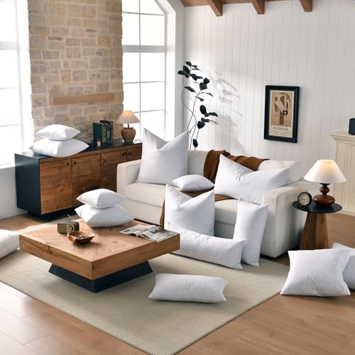 basic home® Hotel-Style 26x26 Goose Feather Down Euro Pillow Insert for Sofa & Bed - 100% Odorless & Plump Cushion Filler - 233TC Cotton with Inner Liner to Prevent Poking (26x26 Inch)