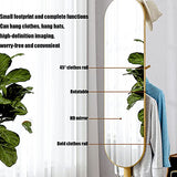 Mirror Full-Length Mirror Coat Hanger One-Piece Vertical Rotating Home Bedroom Fitting Floor Mirror Ins Wind Brass