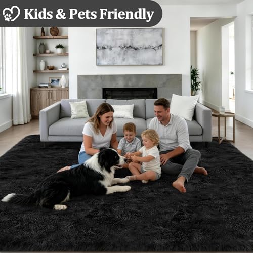Area Rug Living Room Bedroom: 4x6 Fluffy Plush Shag Carpet Black