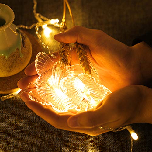 Butterfly Curtain Lights, 4.9ft 48 LED USB Window Fairy Lights 10 Butterflies 8 Modes Firefly Twinkle Timer String Lights with Remote for Room Bedroom Wall Ceiling Party Wedding Christmas