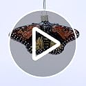 Old World Christmas Monarch Butterfly Glass Blown Ornament for Christmas Tree, Handcrafted Holiday Decoration, Insect Collection
