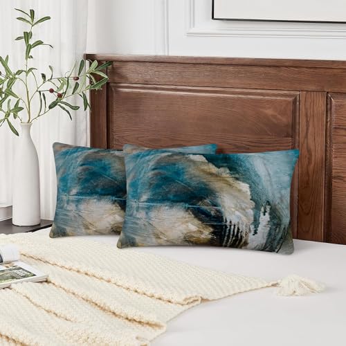 Throw Pillow Covers for Couch, 20x12 Inch, 2 Pack, Black Teal