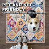 3x5 Washable Area Rug Nonslip Door Mat Indoor for Entryway Bedside