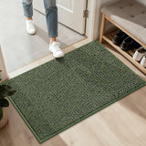 BEQHAUSE 2x3 Entryway Rug Indoor Door Mat Non-Slip Washable, Green