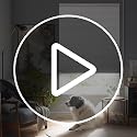 Joydeco Cellular Shades Cordless, 35 Inch Wide Blackout Cellular Blinds for Windows, Waterproof Honeycomb Blinds White Window Coverings for Bedroom, Living Room, Office, Kitchen (35" W x 64" H)