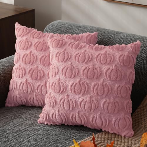 DFXSZ Fall Pillow Covers 20x20 2Pcs Pink Pumpkin Fall Decorations for Home