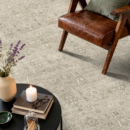 Beige Area Rugs 5x7 Washable Soft Rug for Living Room Bedroom
