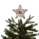Kurt Adler 6-1/4-Inch Gold Wire Star Treetop
