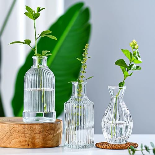 Glass Bud Vase Set of 32 pcs,Bud Vases in Bulk,Small Vases for Centerpieces, Mini Flower Vase Bulk for Rustic Wedding Home Table Decorations
