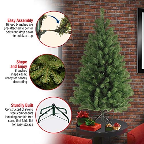 National Tree Company 4 ft Unlit North Valley Spruce Mini Artificial Christmas Tree, 307 Tips, Includes Stand, Green
