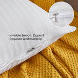 Oubonun 18 x 18 Throw Pillow Inserts, Firm and Fluffy Decorative Square Pillows for Couch Bed Sofa with Soft Cotton Cover White Cushion with Down Alternative Pack of 2
