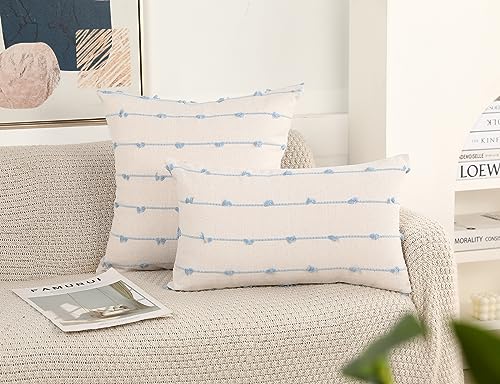 NUYECY Set of 2 Boho Throw Pillow Covers 18x18,Light Blue and White Neutral Couch Pillow Case with Tassel Fringe Decorative,Modern Accent Farmhouse Cushion Covers for Sofa Couch Bed Living Room