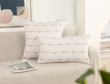 NUYECY Set of 2 Boho Throw Pillow Covers 18x18,Light Blue and White Neutral Couch Pillow Case with Tassel Fringe Decorative,Modern Accent Farmhouse Cushion Covers for Sofa Couch Bed Living Room