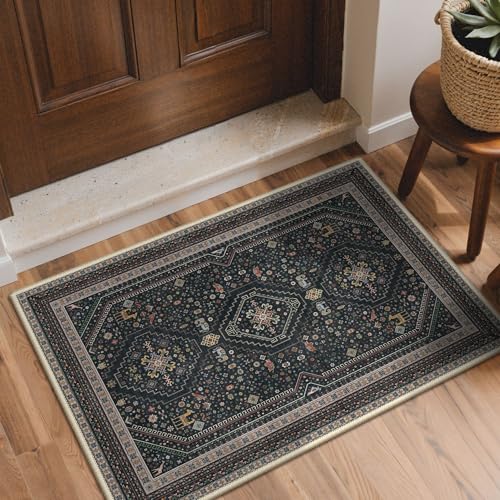 GENIMO 2x3 Entryway Rug, Washable Small Indoor Area Carpet Floral Ebony