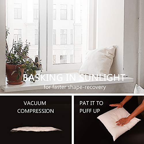 EDOW Throw Pillow Insert, Set of 2 Down Alternative Polyester Square Form Decorative Pillow, Cushion,Sham Stuffer. (White, 18x18)