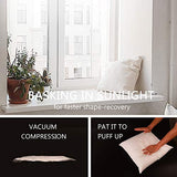 EDOW Throw Pillow Insert, Set of 2 Down Alternative Polyester Square Form Decorative Pillow, Cushion,Sham Stuffer. (White, 18x18)