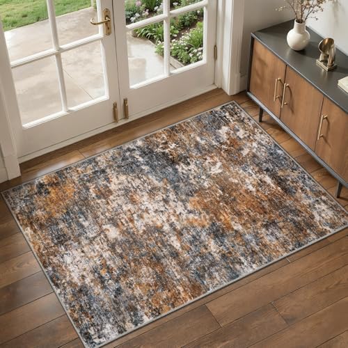 Tangsoo Abstract 2x3 Washable Rugs for Entryway, Small Area Rug Non Slip