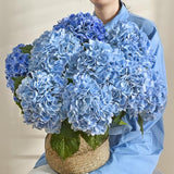 MARTINE MALL 3Pcs 21in Hydrangea Artificial Flowers, Latex Real Touch Hydrangeas Lifelike Large Hydrangea Flowers for Home Decor Party Arrangements Wedding Bouquets Centerpieces (Blue)