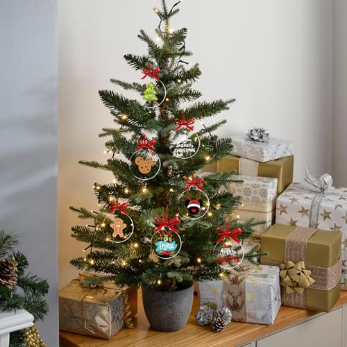100 Pack Christmas Tree Ornaments Blanks - 4 Inch Clear Round Acrylic Flat Disc Ornaments Blanks Christmas DIY Crafts Transparent Circle Discs for Xmas Winter New Year Party Hanging Decorations