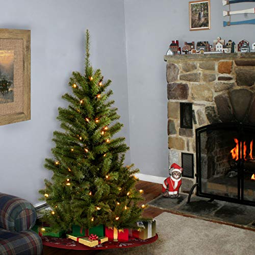 National Tree Company 4 ft Pre-Lit Grande Canadian Fir Mini Artificial Christmas Tree, 100 Clear Lights, 230 Tips, Includes Stand, Green