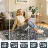2'6 x 8' Runners Rug for Hallway Washable (Charcoal Blush Ivory)