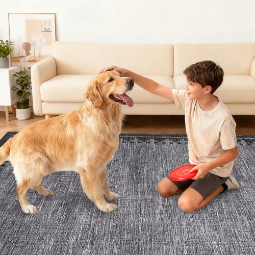 GarveeHome 10x13 Large Area Rug for Living Room Washable Low Pile Carpet