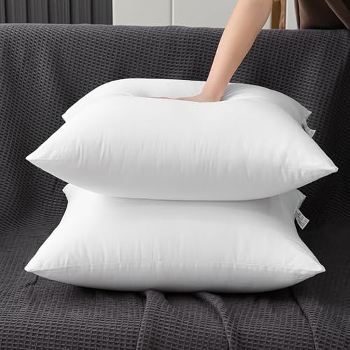 Bedding Throw Pillows for Sofa, Bed Couch Decorative Stuffer Pillow Throw Pillow Insert, Alternative Decorative Pillow (20x20 inch,2)