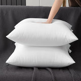 Bedding Throw Pillows for Sofa, Bed Couch Decorative Stuffer Pillow Throw Pillow Insert, Alternative Decorative Pillow (20x20 inch,2)