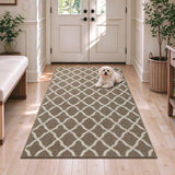 SHACOS Large Door Mats 3'x5' Indoor Entrance Front Door Rug, Brown