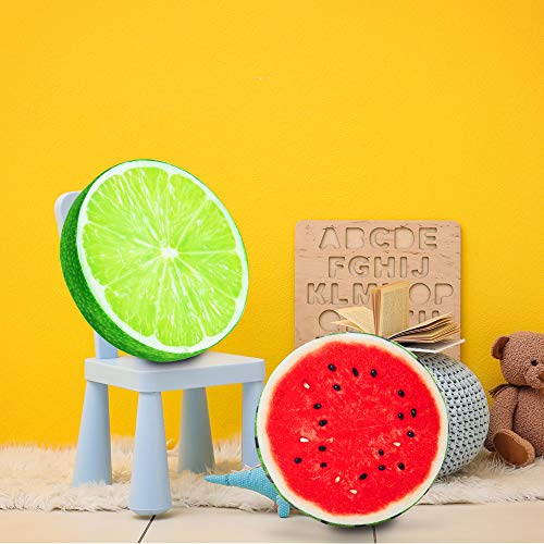 HYSEAS Round Throw Pillows 14 Inch Lemon, 3D Print Decorative Plush Funny Fruit Stuffed Cushions Seat Pad for Couch, Chair, Floor, Sofa, 2 Pack