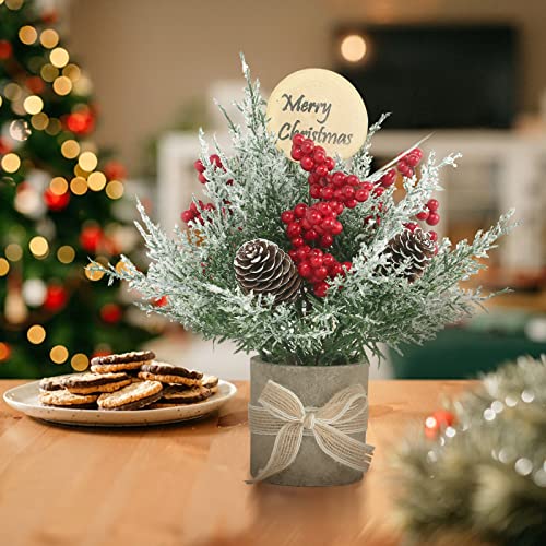JIALEIXI 2PCS Small Christmas Tree,Tabletop Mini Xmas Tree,9" Artificial Little Potted for Christmas Decor,Suitable for Weddings, Holidays, Christmas and Other Festivals.(Red/Green)
