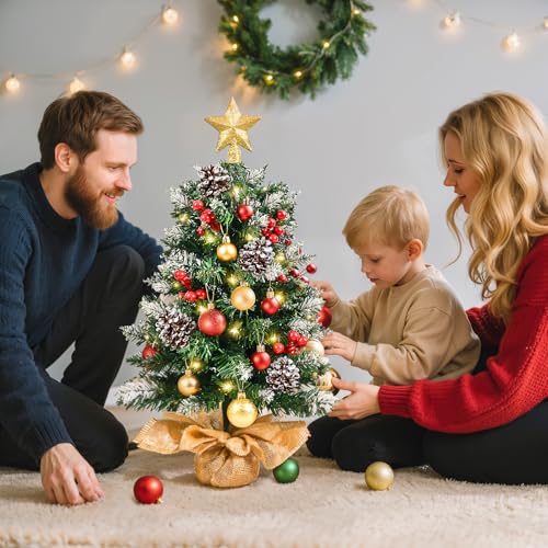 Mini Christmas Tree with Lights, 24 Inch Tabletop Christmas Tree with Berries Star Treetop Ornaments Balls Artificial Small XMS Tree for Table Desk Home Christmas Holiday Decor