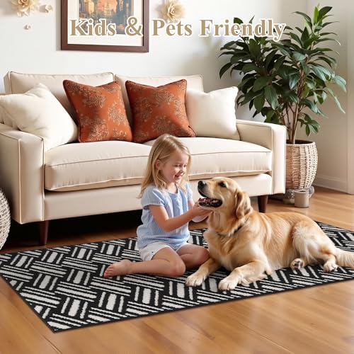 Washable Hallway Runner Rug 2x6',Non-Slip Kitchen Runner, Black