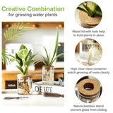 Glass Plant Propagation Stations for Plants – Set of 4(2 Large & 2 Small) Hydroponic Vases for Plant Cuttings,Flower Arrangements, Home & Office Decor–Desktop Vases for Living Room, Bedroom (4)