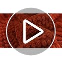 50x70 Inch Rust Throw Blanket - Soft & Fluffy Fleece, Cute & Aesthetic, Perfect for Sofa, Couch, Chair, Bed, Living Room & Bedroom, All-Season Use, Plush & Cozy Decorative Blanket