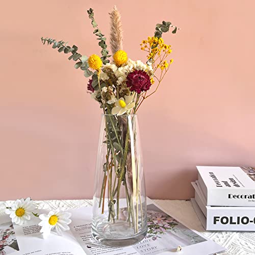 Aoderun Glass Vase for Flowers Modern Vases Home Decor Unique Flower Vase for Bouquet 8.7" Centerpiece Vase Decor Room,Bedroom,Living Room,Library,Office,Table,Entryway,Modern Farmhouse(Clear)