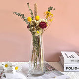 Aoderun Glass Vase for Flowers Modern Vases Home Decor Unique Flower Vase for Bouquet 8.7" Centerpiece Vase Decor Room,Bedroom,Living Room,Library,Office,Table,Entryway,Modern Farmhouse(Clear)