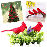 12 PCS Red Cardinals Ornaments Birds Christmas Cardinal Birds Clip for Christmas Tree Ornament Decorations, Arts and Crafts, Clip-On Style