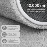Sour Lemon 4x6 Area Rugs for Living Room Bedroom, Washable Rug Carpet Grey
