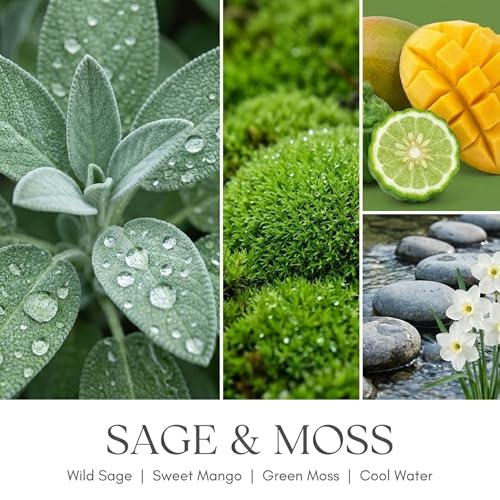 Home Lights 3-Wick Candles for Home Scented - 34oz Soy Wax Candle Long-Lasting Fragrance, Scandinavian Minimalist Design Home Decor and Housewarming Gifts, Sage & Moss