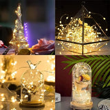 Niumowa LED Fairy Lights Battery -9 Pack 2M/20 LEDs Mini Fairy Lights with Battery,LED Lighting Battery Operated Decoration for Bottle,Christmas Tree Wedding Balcony Party Decoration