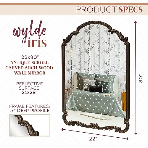 Wylde Iris English Estate Carved Arch Wood Wall Mirror, Mirror for Entryway, Living Room, Bathroom, Antique Black, 22x30