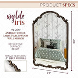 Wylde Iris English Estate Carved Arch Wood Wall Mirror, Mirror for Entryway, Living Room, Bathroom, Antique Black, 22x30