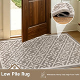Indoor Door Mat 3x5ft, Absorbent Muddy Mats for Dogs, Low-Profile Entrance Large Welcome Mat with Non-Slip Rubber Backing, Washable Runner Carpet for Hallway,Entryway,Kitchen(Beige)