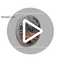 WANGIRO Round Wall Clock Farmhouse Plastic Deer Clock Battery Operated Silent Non-Ticking Rustic Clock 12 Inch for Home Kitchen Living Room Bedroom Office Decor (Antique Copper)