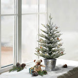 Puleo International Pre-Lit 2' Flocked Table Top Artificial Christmas Tree with 35 Lights in Metal Pot, Green