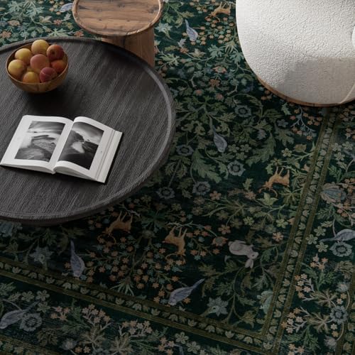 Washable Area Rugs for Living Room: 5x7 Rug Stain Resistant Non Slip Low Pile Lightweight Soft Carpets Rugs for Bedroom Kitchen Dining Room Nursery Kids Room Farmhouse Home Office Indoor