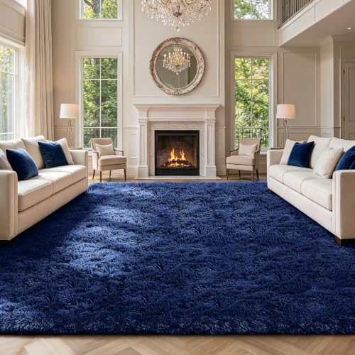 Shag Area Rugs for Living Room Bedroom,Large Ultra Soft Fluffy Area Rugs for Dorm,Indoor Carpet Plush Rugs for Living Room Home Decor (Blue, 10X14 Feet)