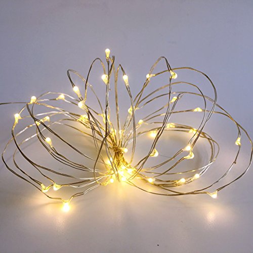 Pack 2 Indoor Battery-operated Led String Lights with Timer,Mini Leds Fairy Lights for Wedding Centerpiece Christmas Party Lighting Decorations,50 Count Leds,18FT Silver Wire (Warm White)
